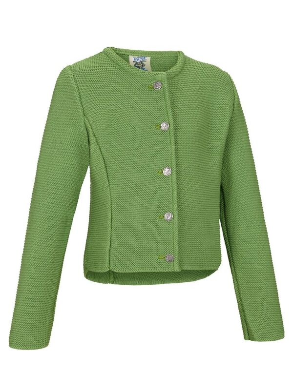 Kinder Trachten Strickjacke grün 140011 ~ 116